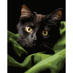 Товары для рисования - Картина по номерам Strateg Черный маленький котенок на черном фоне 40 х 50 см (AH1282)