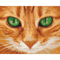 Товари для малювання - Картина за номерами Art Craft Зелені очі 40 х 50 см (11620-AC)