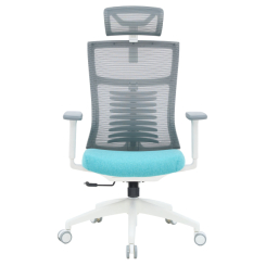 Мебель для геймеров - Кресло OfficePro Balance White/Dark Gray/Blue (OC550-W-DG-BL)