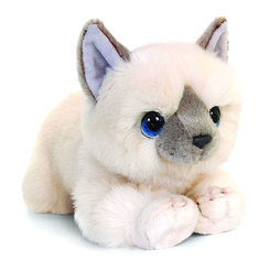 М'які тварини - М'яка іграшка Keel toys Біле кошеня 32 см (SC2645)