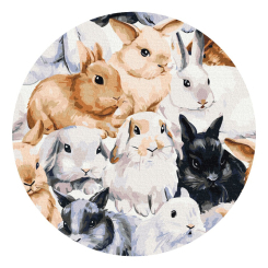 Товари для малювання - Картина за номерами Brushme Команда зайчиків (RC00015M)