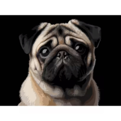 Товари для малювання - Картина за номерами Strateg Мопс на чорному фоні 30 х 40 (FH-34) (4823113896195)