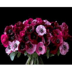 Товары для рисования - Картина по номерам Strateg Красные анемоны на черном фоне 40 х 50 см (AH1288)