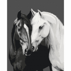 Товари для малювання - Картина за номерами Brushme Чорне і біле серце (BS54418)