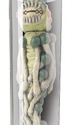 Фігурки тварин - Ігрова фігурка Прибулець в пробірці УРГ Test Tube Aliens (91007-AL)