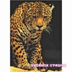 Пазлы - Пазл Eurographics Леопард 1000 деталей (6000-1163)