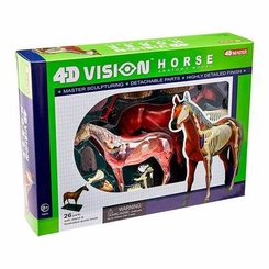 Обучающие игрушки - Сборная модель Master Лошадь 4D Master (26101)