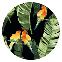 Товари для малювання - Картина за номерами Brushme Папуги в тропіках (RC00018M)