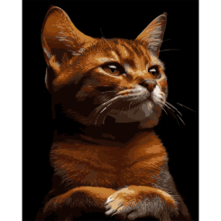 Товары для рисования - Картина по номерам Strateg Рыжий характер на черном фоне 40 х 50 см (AH1244)