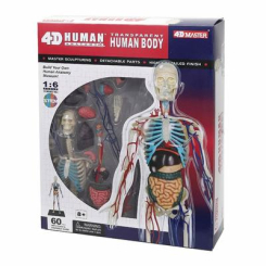 Обучающие игрушки - Объемная модель 4D Master Тело человека прозрачное (FM-626204)