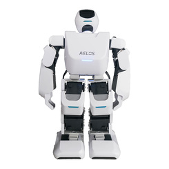 Роботы - Программируемый робот Leju Robot Aelos (AL-EN-E1E)