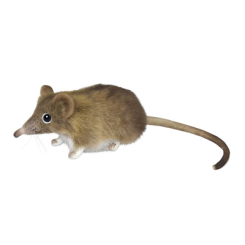 Мягкие животные - Мягкая игрушка Hansa Слоновая мышь 14 см (7233)