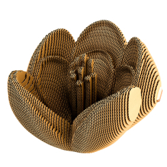 3D-пазлы - 3D-пазл Cartonic Крокус (CARTCROCUS)