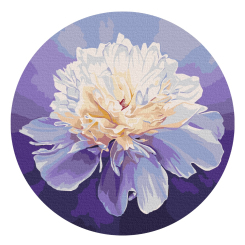 Товари для малювання - Картина за номерами Brushme Ніжна півонія (RC00074M) Товари для малювання - Картина за номерами Brushme Ніжна півонія (RC00074M)