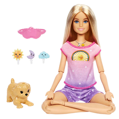 Куклы - Кукла Barbie Медитация днем и ночью (HHX64)