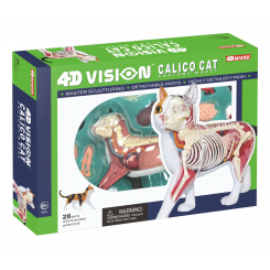 Научные игры, фокусы и опыты - Объемная модель 4D Master Кот (FM-622040)