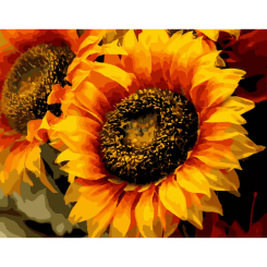 Товари для малювання - Картина за номерами Art Craft Шпигун сонця 40 х 50 см (13106-AC) Товари для малювання - Картина за номерами Art Craft Шпигун сонця 40 х 50 см (13106-AC)