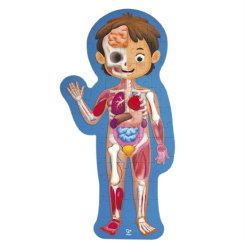 Пазлы - Пазл Hape Тело человека 60 элементов (E1635) Пазлы - Пазл Hape Тело человека 60 элементов (E1635)