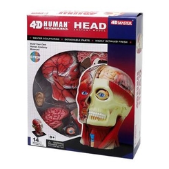 Обучающие игрушки - Объемная модель 4D Master Голова человека (FM-626103)