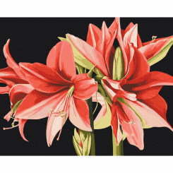 Товари для малювання - Картина за номерами Brushme Амариліс (BS53725)