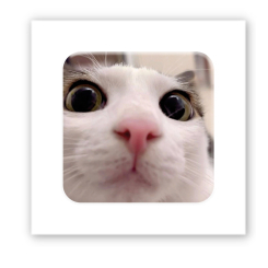 Набори для творчості - 3D стікер Tattooshka Я все бачу (SX-224)