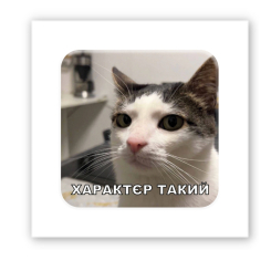 Набори для творчості - 3D стікер Tattooshka Характєр такий (SX-221)