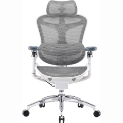 Меблі для геймерів - Крісло офісне Sihoo DORO C300 Pro Mesh White (DORO- C300- PRO- M102)