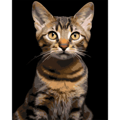 Товары для рисования - Картина по номерам Strateg Полосатый кот на черном фоне 40 х 50 см (AH1284)