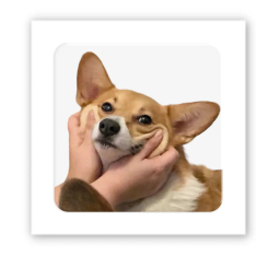 Наборы для творчества - 3D-стикер Tattooshka Счастливый корги (SX-196)