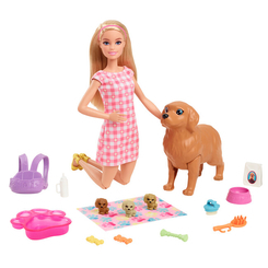 Ляльки - Ігровий набір Barbie Маленьке тріо (HCK75)