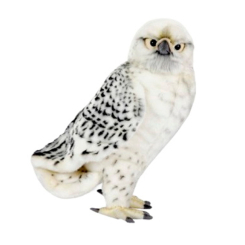 М'які тварини - М'яка іграшка Hansa Сніговий сокіл 35 см (4806021947081)