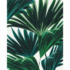 Товари для малювання - Картина за номерами Brushme Тропіки 2 (BS53668)