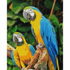 Мозаика - Алмазная мозаика Brushme Попугаи Ара (DBS1049)