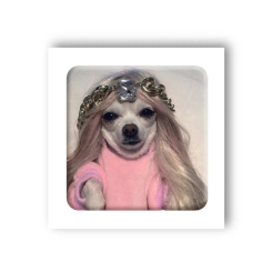 Набори для творчості - 3D-стікер Tattooshka Мем песик (SX-21)