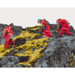 Товары для рисования - Картина по номерам Brushme Полярные исследовательницы Юрий Шепета 40 х 50 см (BS54273)