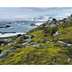 Товары для рисования - Картина по номерам Brushme Зеленая Антарктика Дмитрий Мартыненко 40 х 50 см (BS54265)