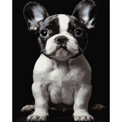 Товары для рисования - Картина по номерам Strateg Маленькая собака на черном фоне 40 х 50 см (AH1277)