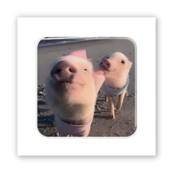 Наборы для творчества - 3D стикер Tattooshka Piggy selfie (SX-271)