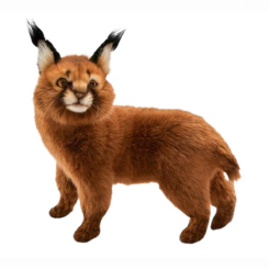 М'які тварини - М'яка іграшка Hansa Кіт Каракал 30 см (4806021970492)