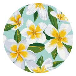 Товари для малювання - Картина за номерами Brushme Плюмерія (RC00046M)