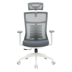 Мебель для геймеров - Кресло OfficePro Balance White/Dark Gray (OC550-W-DG-DG)