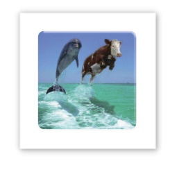 Наборы для творчества - 3D стикер Tattooshka Два дельфина (SX-218)