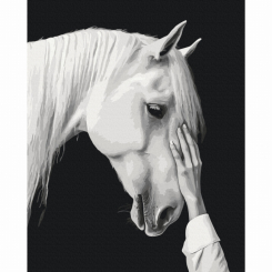 Товари для малювання - Картина за номерами Brushme Білий міраж (BS54416)