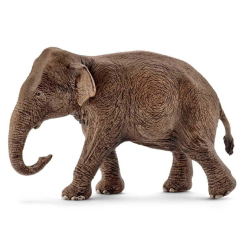 Фігурки тварин - Ігрова фігурка Schleich Азіатський слон самиця (14753)