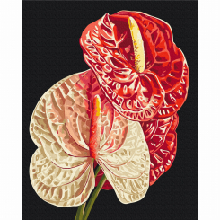Товари для малювання - Картина за номерами Brushme Антуріум Anastasiia Osmolovska 40х50 см (BS54136)