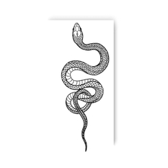 Косметика - Набір тату для тіла Tattooshka Змія (L-5)