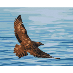 Товари для малювання - Картина за номерами Brushme Політ південнополярного поморника Сергій Глотов 40 х 50 см (BS54269)