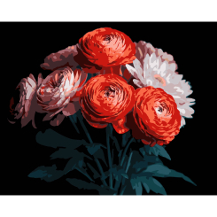 Товары для рисования - Картина по номерам Strateg Красные ранункулюсы на черном фоне 40 х 50 см (AH1250)