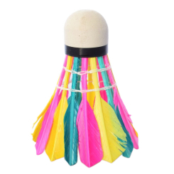 Спортивные активные игры - Воланчик PROFI цветной (MS 0155)