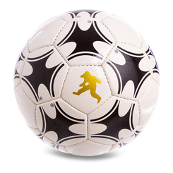 Спортивні активні ігри - М'яч футбольний Train FB-0655 FDSO №5 Біло-чорний (57508477) (3205997890)